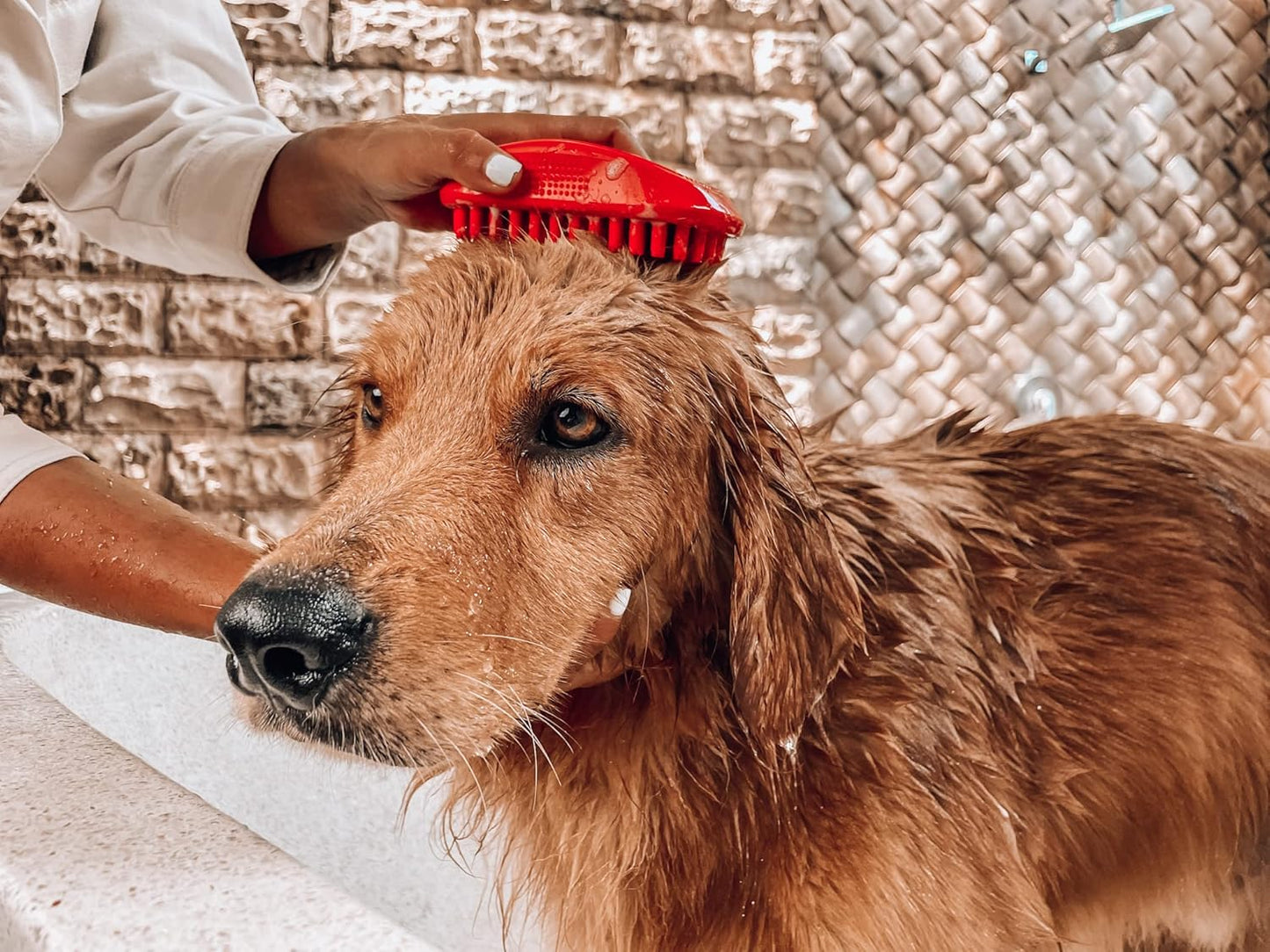 Silicone Dog Bath Brush with Soft Rubber Bristles for Gentle Shampooing and Fur Removal
