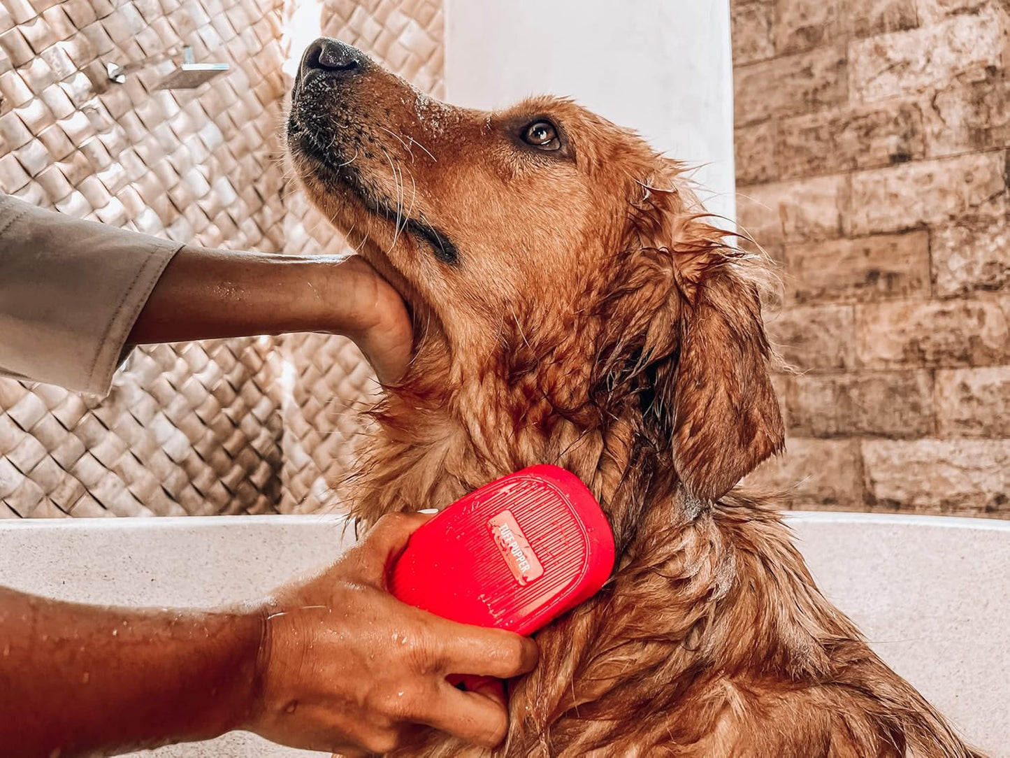 Silicone Dog Bath Brush with Soft Rubber Bristles for Gentle Shampooing and Fur Removal