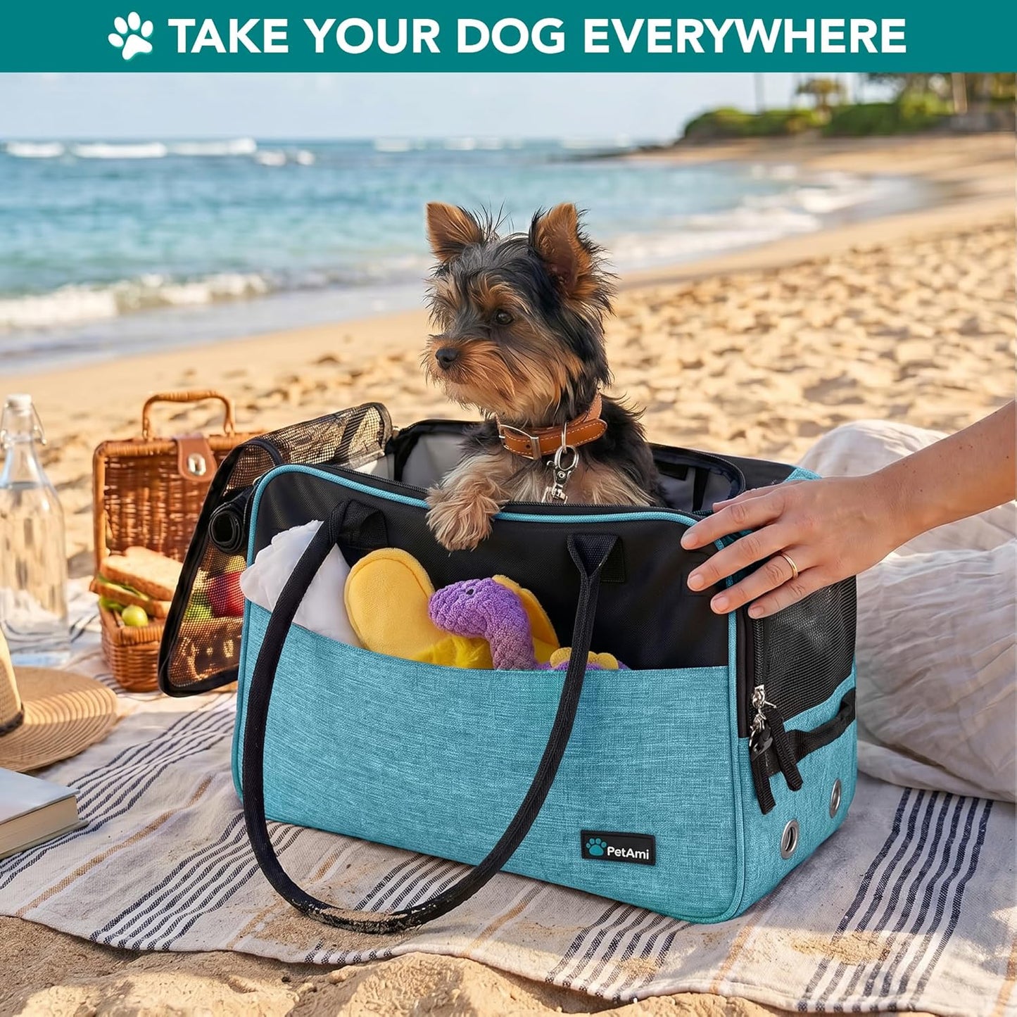 Soft-Sided Pet Carrier for Small Dogs and Cats, TSA Approved Travel Tote with Ventilation, Pockets, Bed, and Shoulder Strap, Maximum Weight 12 lbs, Turquoise