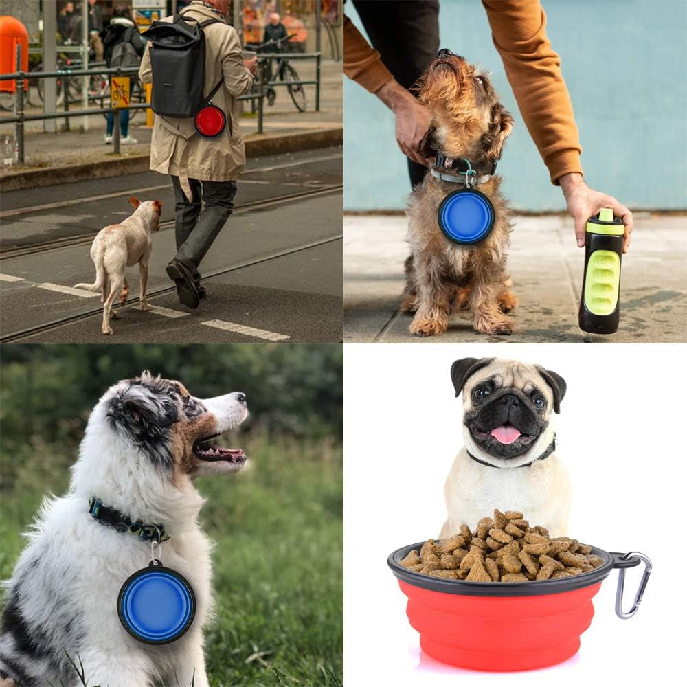 Large Portable Collapsible Dog Bowls - 34oz Foldable Slow Feeder Dishes for Travel, Hiking, and Camping (Set of 2)