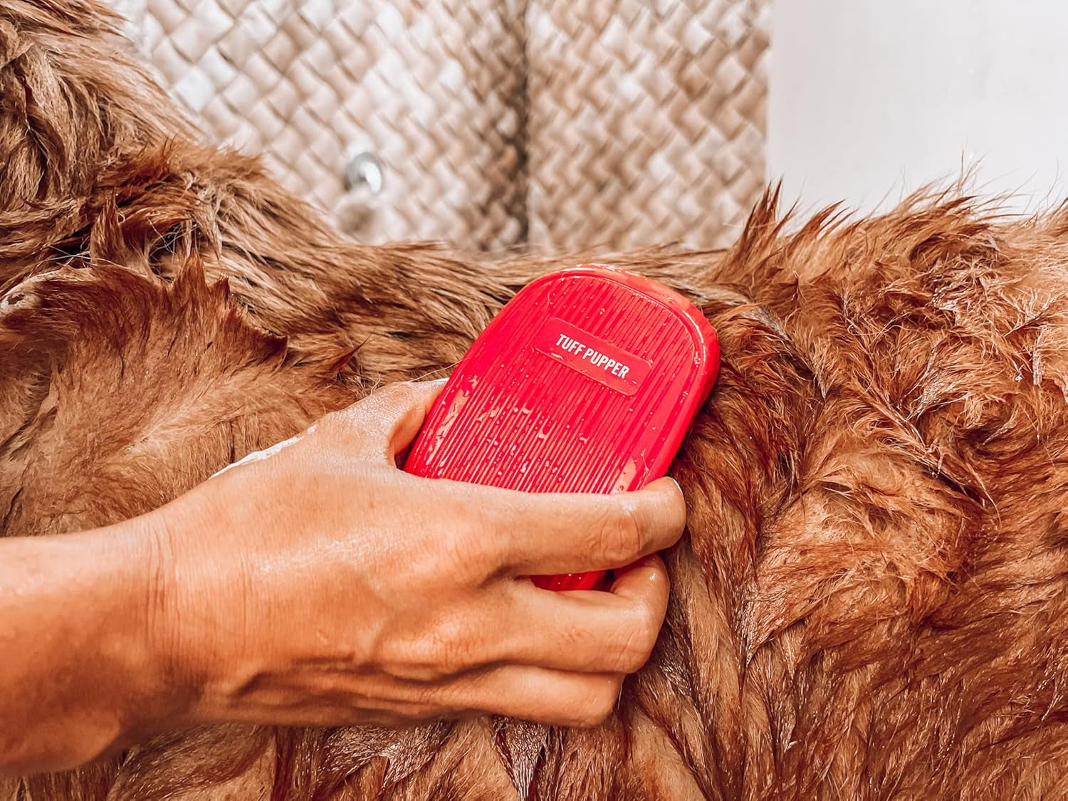 Silicone Dog Bath Brush with Soft Rubber Bristles for Gentle Shampooing and Fur Removal